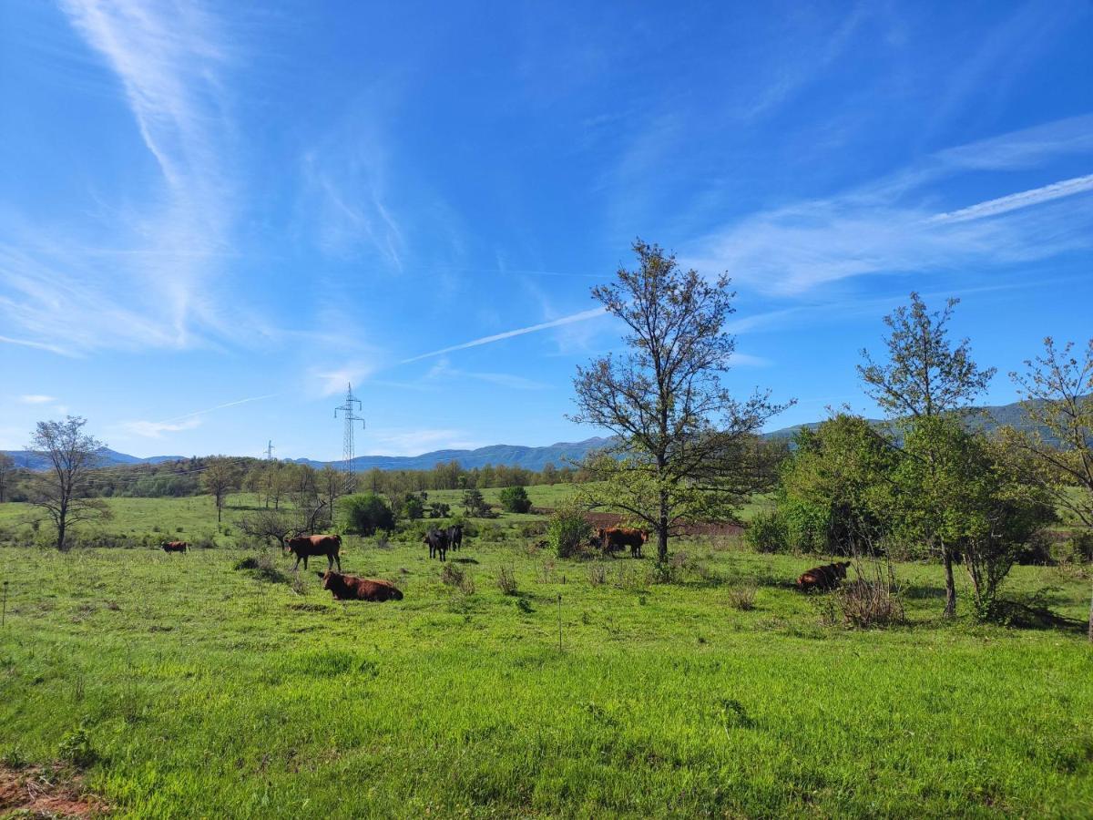 Velebit Lodge Lovinac  Экстерьер фото