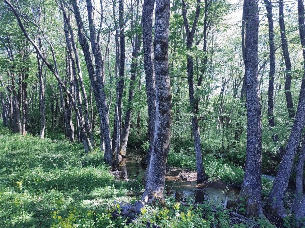 Velebit Lodge Lovinac  Экстерьер фото